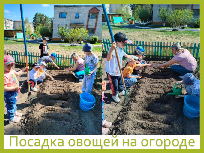 А у нас есть огород, а у вас? А у нас есть огород, а у вас?.